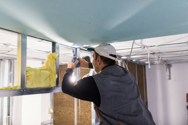 Best Spray Foam Insulation in Summit, AZ